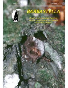 Barbastella, 2. 2001