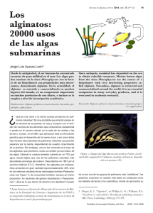 Los alginatos: 20000 usos de las algas submarinas