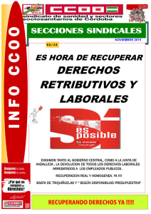 INFO-CCOO Secciones Sindicales de noviembre.