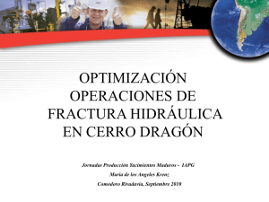Sin título de diapositiva - Instituto Argentino del Petroleo y del Gas