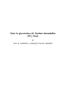 Sobre los glucosinolatos del Lepidium heterophyllum (DC.) Benth.