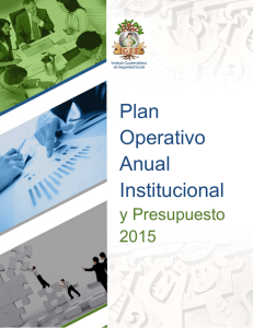 Plan Operativo Anual Institucional