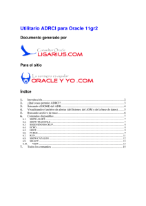Manual de ADRCI en Oracle11gr2