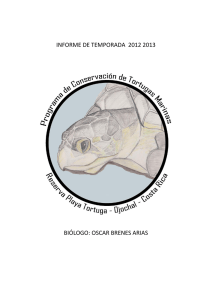 informe de temporada 2012 2013 biólogo: oscar brenes arias