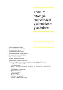 citologia endocervical alteraciones glandulares