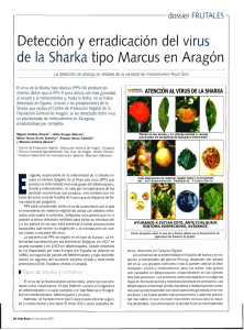 Detección y erradicación del virus de la Sharka tipo Marcus en Aragón