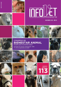 InfoVet 113 Número especial - Congreso de Bienesar Animal