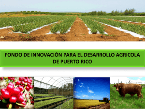 fondo de innovación para el desarrollo agricola de puerto rico