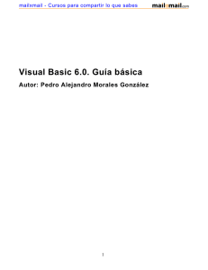 Visual Basic 6.0. Guía básica