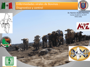 Diapositiva 1 - FMVZ - UANL - Facultad de Medicina Veterinaria y