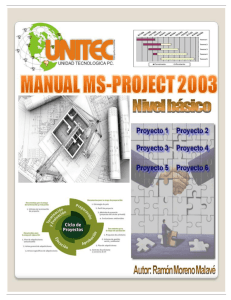 Manual Project 2003 Básico. Parte III