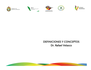 DEFINICIONES Y CONCEPTOS Dr. Rafael Velasco