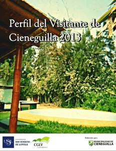 El Perfil del Visitante de Cieneguilla 2013