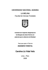 Carolina Liz Vidal Veliz - Universidad Nacional Agraria La Molina