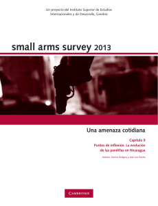small arms survey 2013