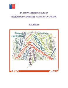Análisis Plenario - Consejo Nacional de la Cultura y las Artes