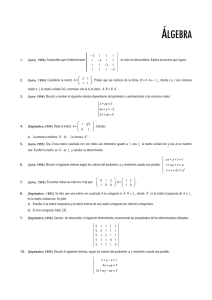 02 Selectividad (PAU-Mat II)_Álgebra