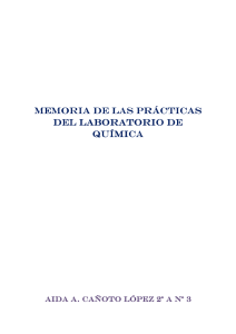MEMORIA DE LAS PRÁCTICAS DEL LABORATORIO DE QUÍMICA
