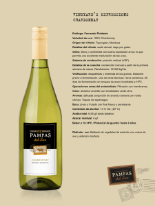 Chardonnay - Pampas del Sur
