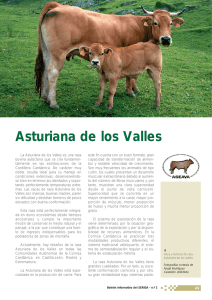 asturiana de los valles