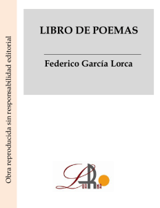 Libro de poemas