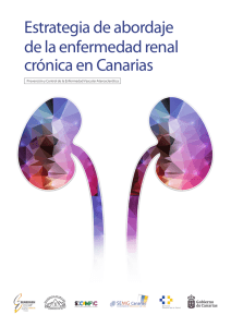 Estrategia de abordaje de la enfermedad renal crónica en Canarias