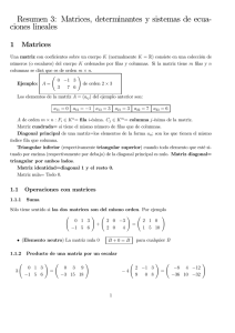 Resumen 3: Matrices, determinantes y sistemas de ecua