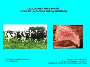 calidad de carne bovina visión de la cadena agroalimentaria