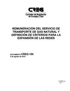 D-100-10 REMUNERACIÓN TRANSPORTE DE GAS Y DEFINICIÓN