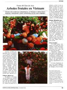 Árboles frutales en Vietnam