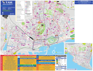 TAM Mapa de Lineas Transporte Urbano