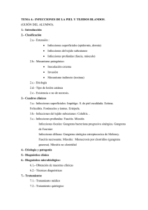 INFECCIONES DE LA PIEL Y TEJIDOS BLANDOS