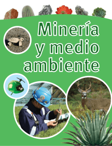 Libro infantil - Minería y medio ambiente