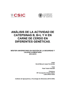 análisis de la actividad de catepsinas b, b+lyh en carne de cerdo en