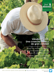Vendimia 2015: Una cosecha corta y de gran calidad
