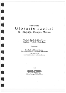 Un Pequeño Glosario Tzeltal de Tenejap, Chiapas, Mexico