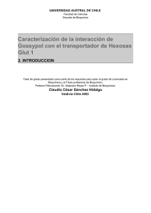 2. introduccion - Tesis Electrónicas UACh