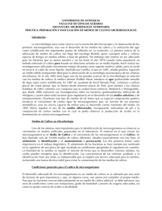 1. PRÁCTICA PREPARACIÓN - Universidad de Antioquia