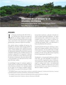 9 Monitoreo de los bosques de la amazonia colombiana