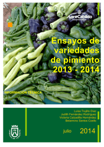variedades pimiento 2013-2014