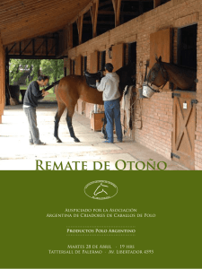 REMATE dE OTOñO - Cría Polo Argentino