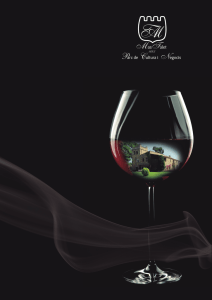 Visualiza nuestra selección de vinos en PDF