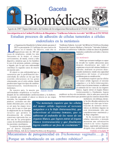 agosto 2007 2007 - Instituto de Investigaciones Biomédicas