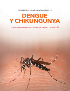 guia de manejo de dengue y chikungunya