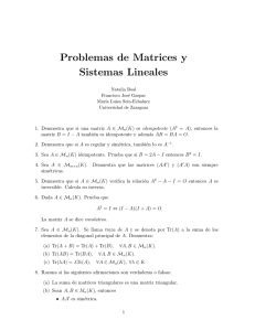 Problemas de Matrices y Sistemas Lineales