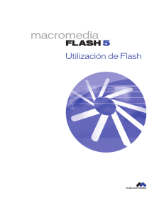 Flash 5 - Cabildo de Lanzarote.