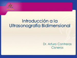 Introducción a la Ultrasonografía Bidimensional