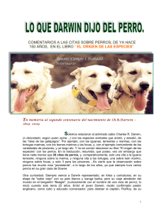 DARWIN Y LOS PERROS.