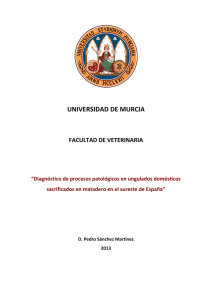 UNIVERSIDAD DE MURCIA