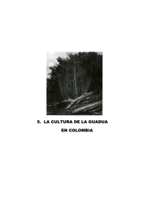5. la cultura de la guadua en colombia